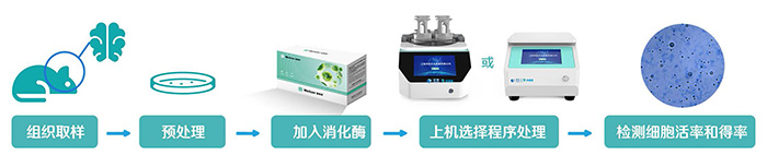 步驟-700 步驟-700