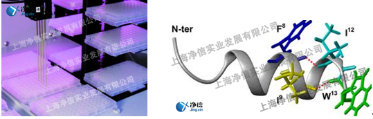 全自動(dòng)樣品快速研磨儀,全自動(dòng)樣品處理系統(tǒng)